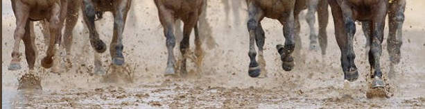 The Track Philosopher's Horse Racing Picks for Major Thoroughbred Tracks, Major Races and a FREE Pick Daily, Churchilll, Keeneland, Gulfstream, Oaklawn, Belmont, Saratoga and Del Mar Race Tracks Picks