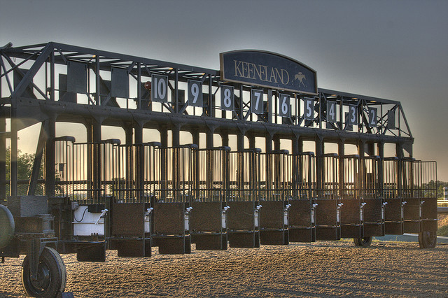 Horse Racing Starting Gate. Even the starting gate is an