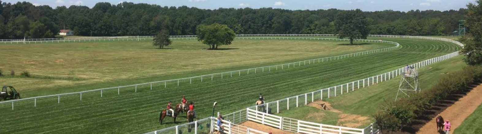 free-horse-race-picks-the-track-philosopher